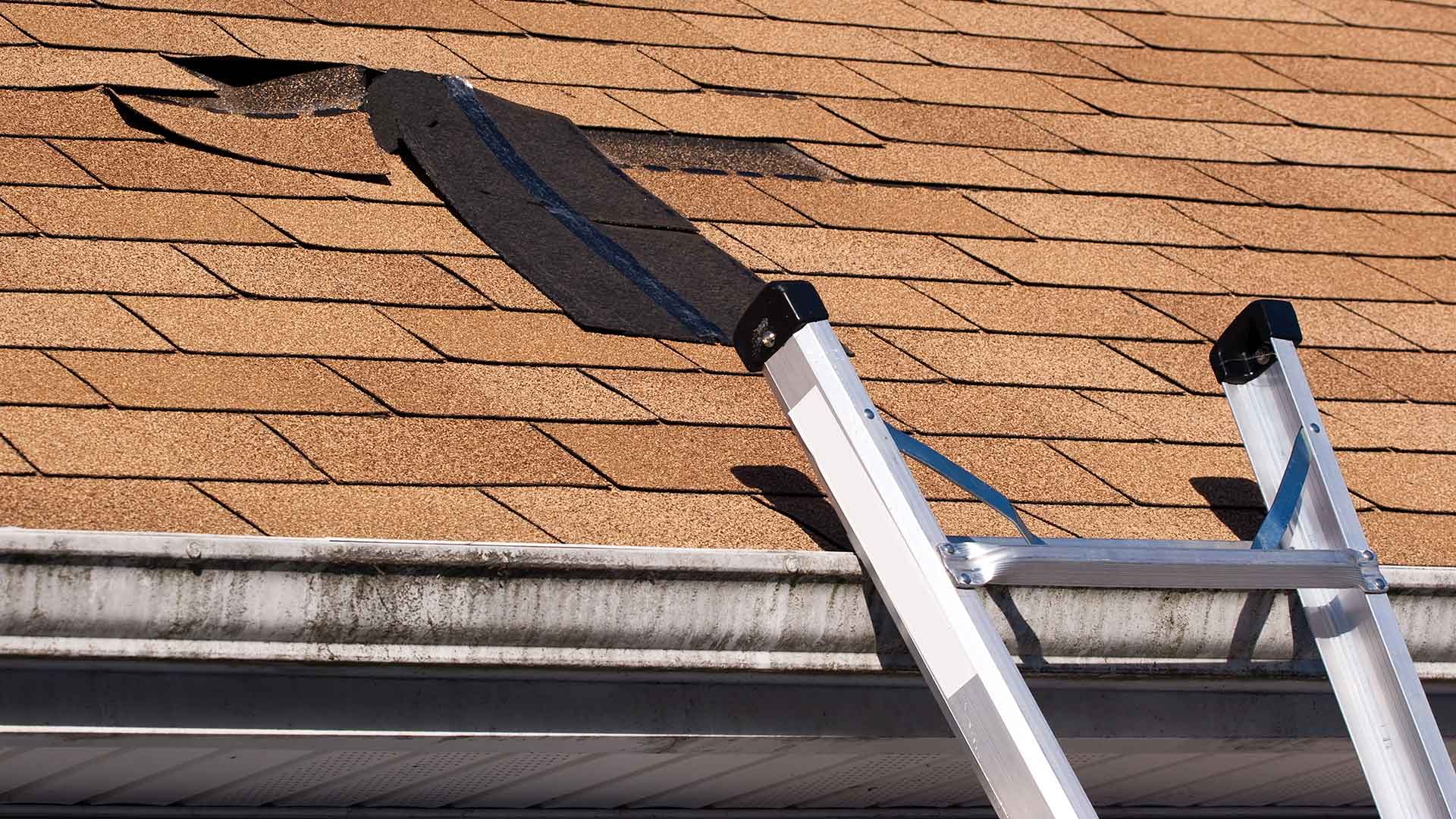 Roofing Dilemma: Fix or Replace?